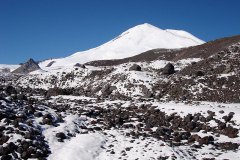 dsc07303