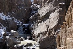 dsc07337