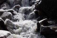 dsc07357