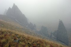 dsc07461