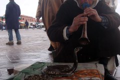 dsc04186