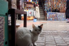 dsc04261