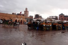 dsc04285