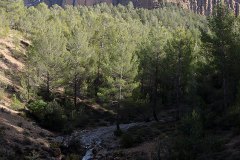 dsc04662