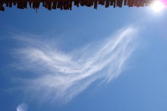 dsc04747