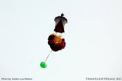 IMG_8337
