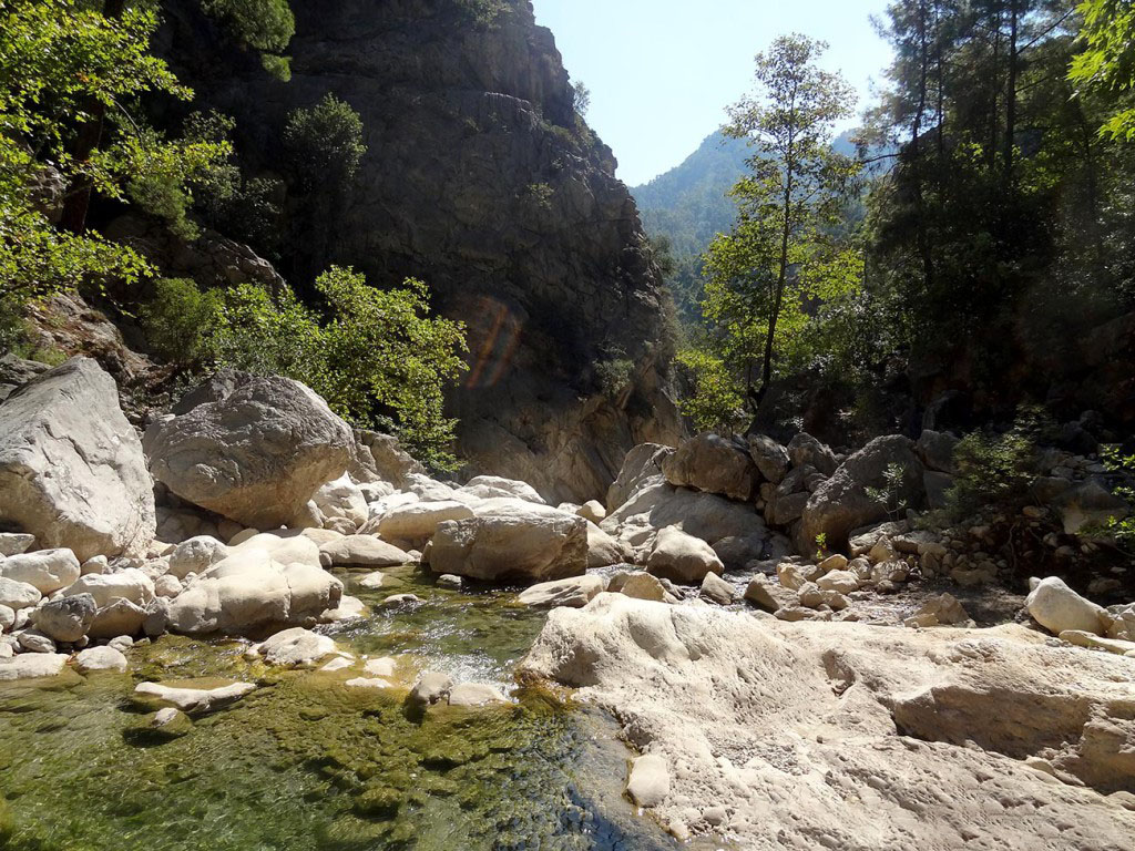 DSC01558